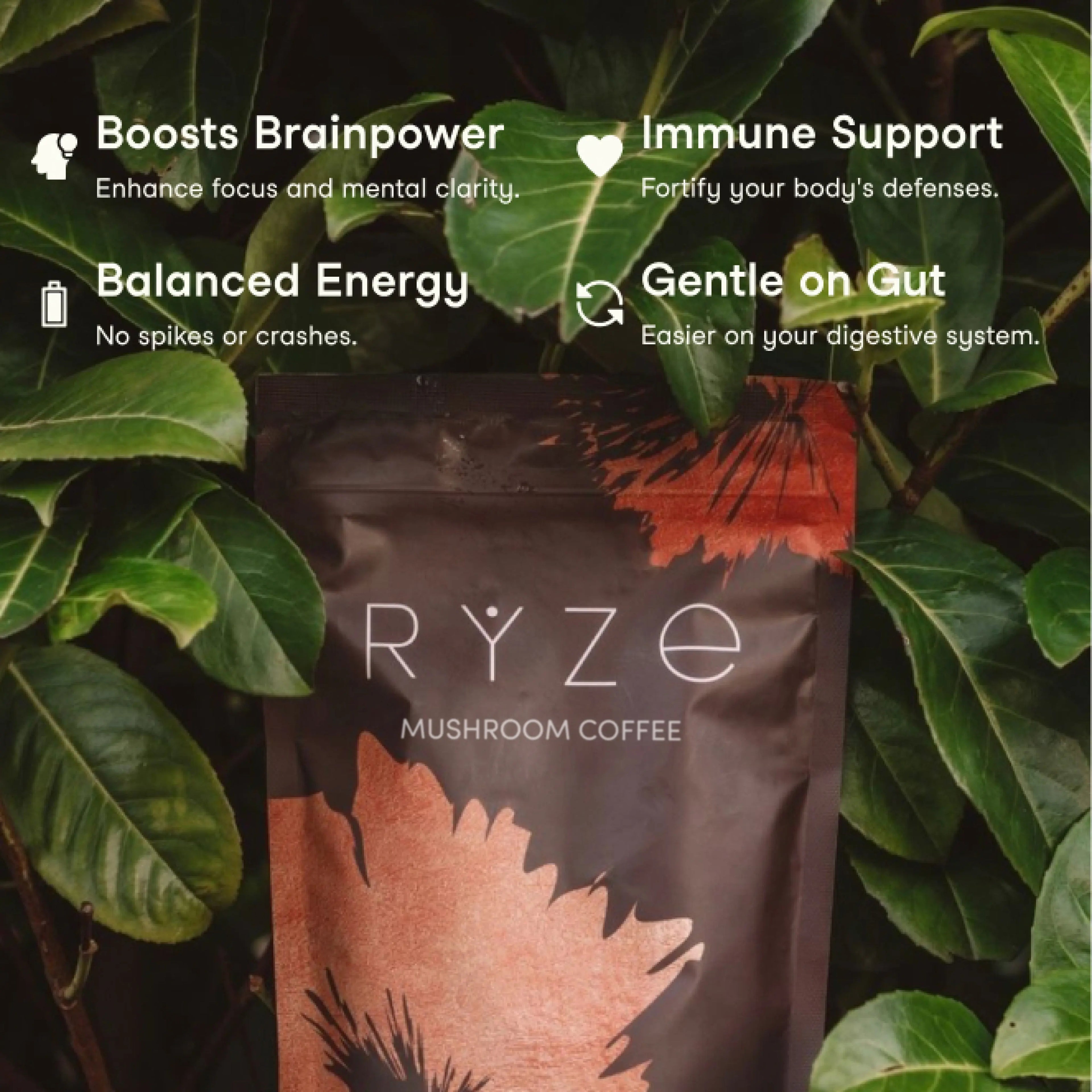 RYZE Mushroom Coffee (1 pack - 30 Servings)