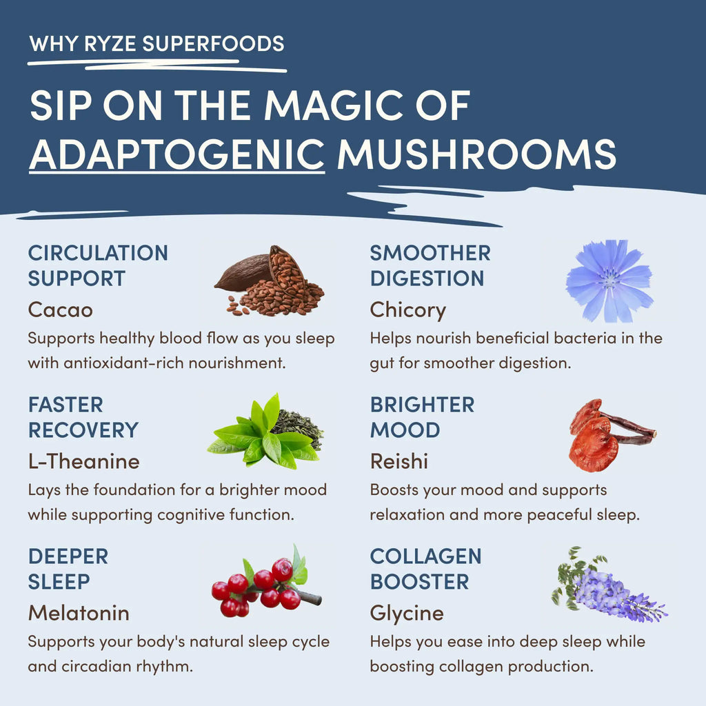 RYZE Ultimate Day + Night Bundle (Coffee + Matcha + Cocoa)