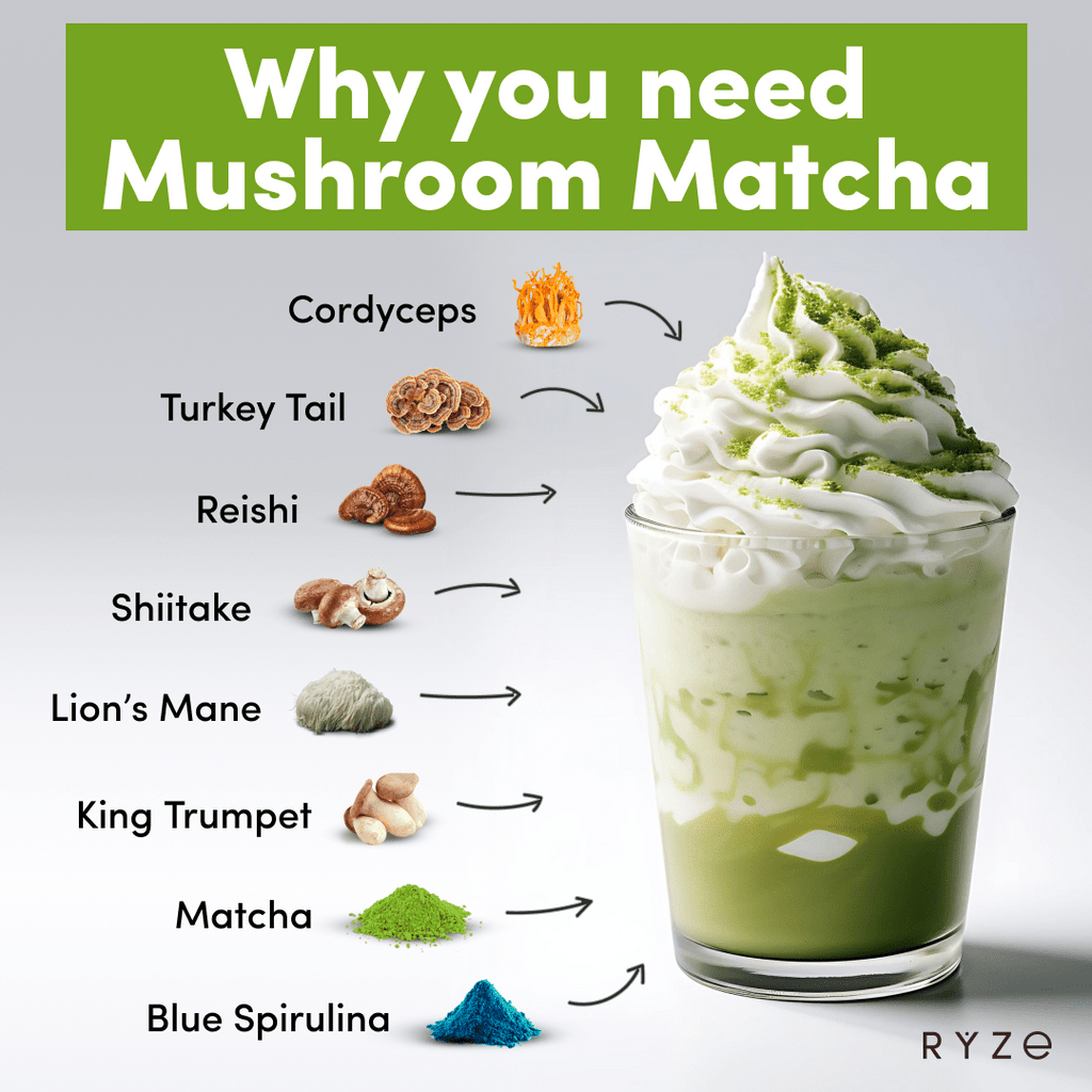 RYZE RYZE Mushroom Matcha - with 6 Organic Adaptogenic Mushrooms Grown In USA and Ceremonial-Grade Japanese Matcha