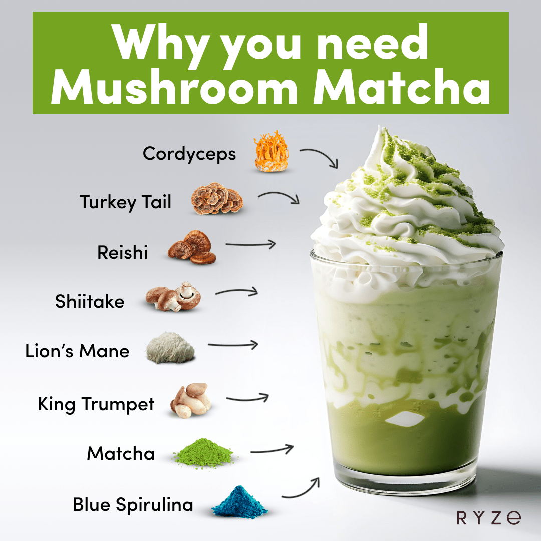 RYZE RYZE Mushroom Matcha - with 6 Organic Adaptogenic Mushrooms Grown In USA and Ceremonial-Grade Japanese Matcha